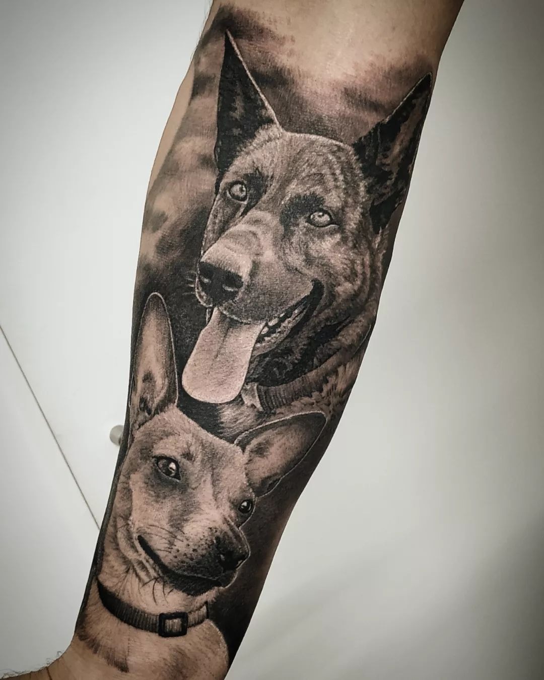 Retrato realista de dois cães por Heltattoo