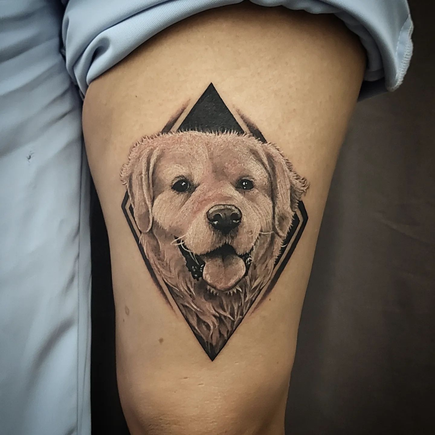 Retrato realista de cão golden em moldura geométrica por Heltattoo