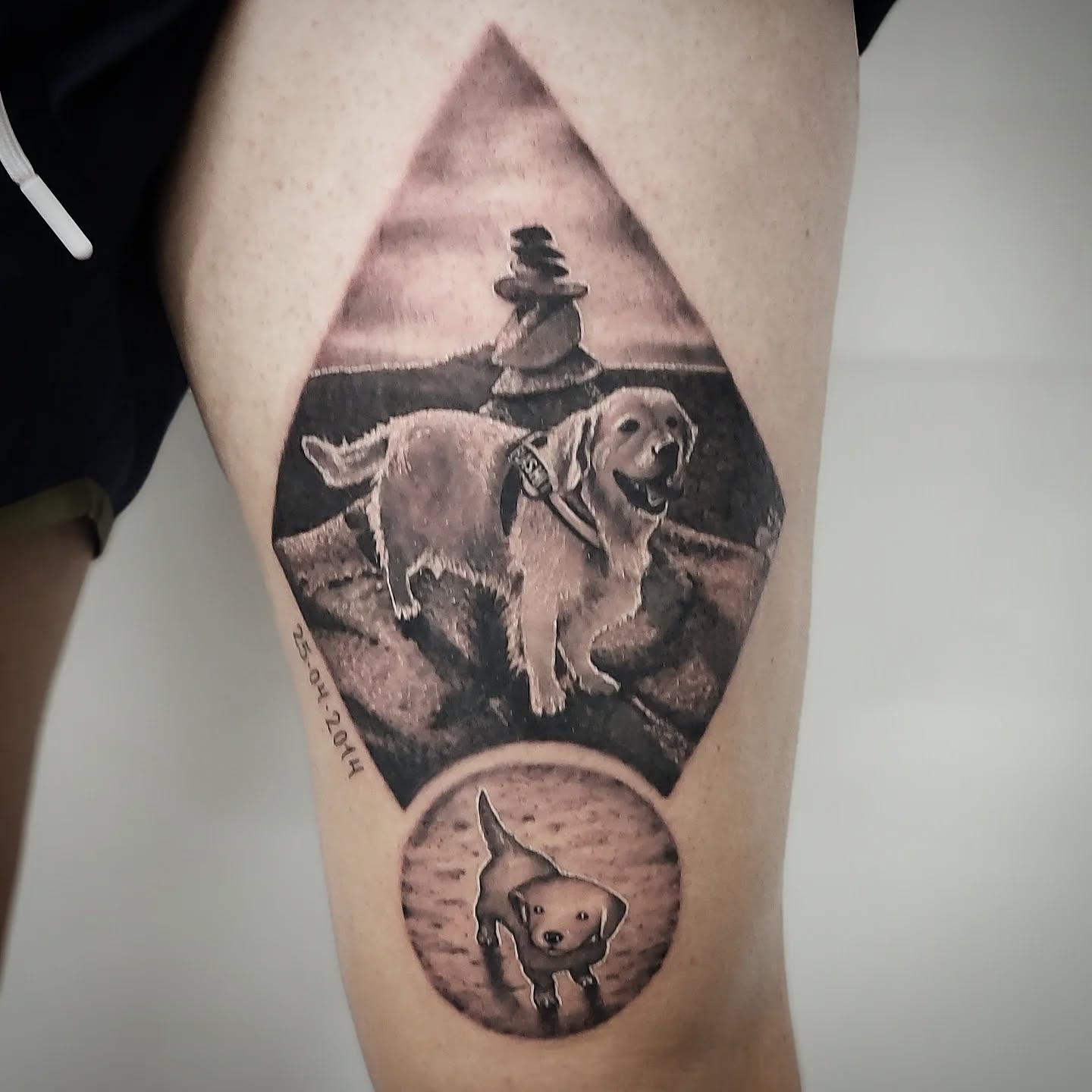 Retrato realista de cão golden em moldura por Heltattoo